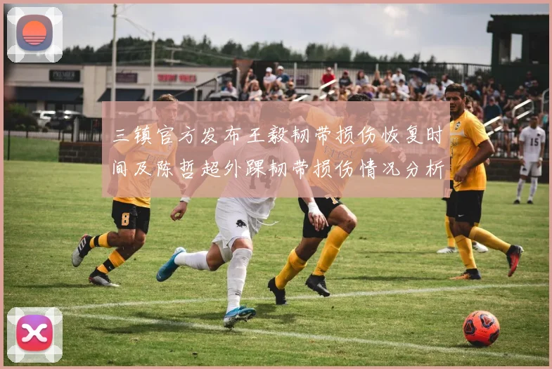 三镇官方发布王毅韧带损伤恢复时间及陈哲超外踝韧带损伤情况分析