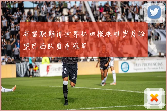 布雷默期待世界杯回报艰难岁月盼望巴西队勇夺冠军